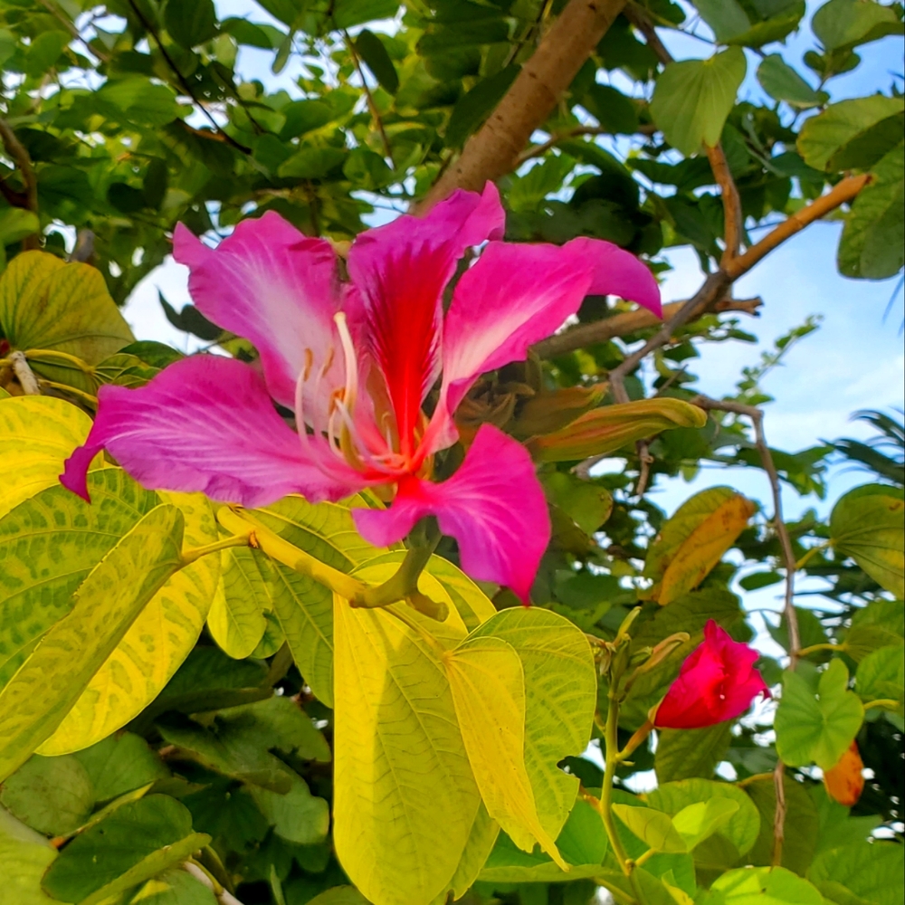 Meet your Posher, Larisa